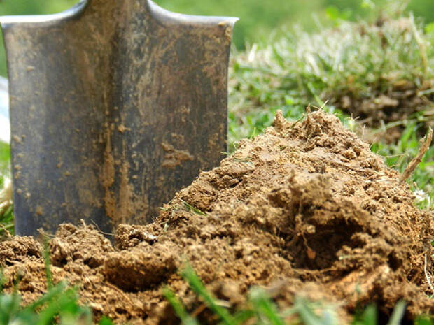 внесение опил весной