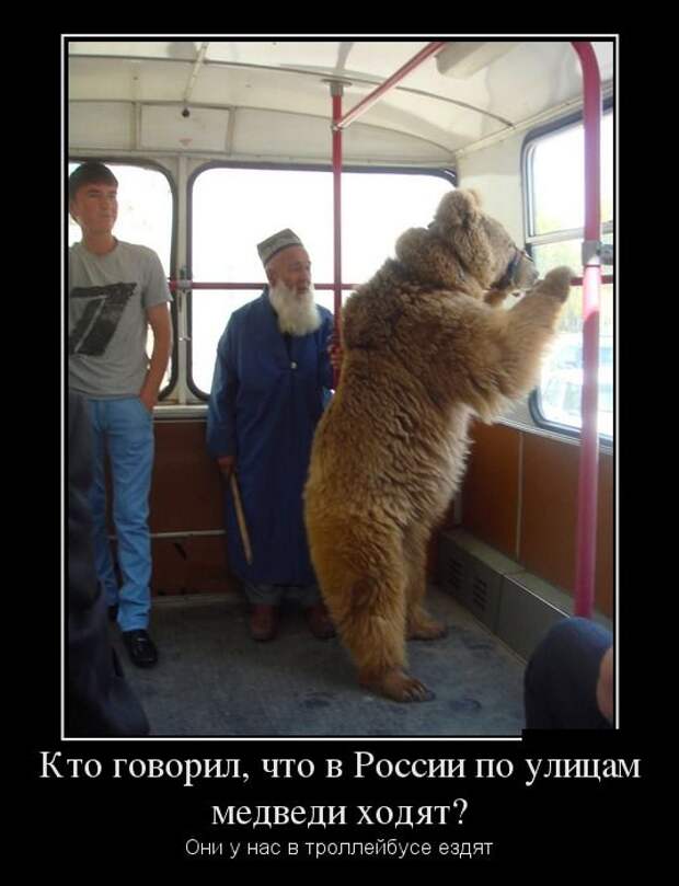 Демотиваторы (30 фото)