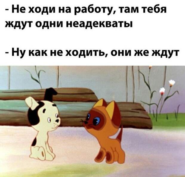 Они же ждут ) Они же ждут )