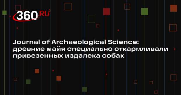 Journal of Archaeological Science: древние майя специально откармливали привезенных издалека собак