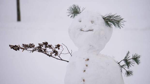 Синоптик Тишковец заявил, что на Москву надвигается сибирский холод