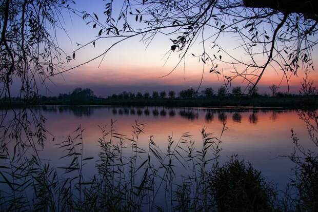 Водоем / Фото: pixabay.com