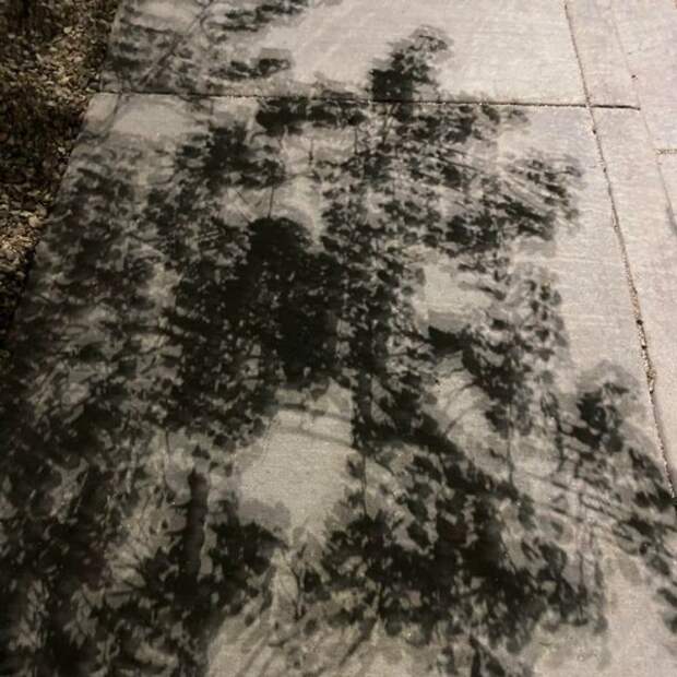 Немного забавных фотографий из серии показалось
