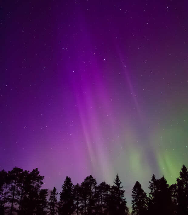 30 фотографий с фиолетовым настроением
