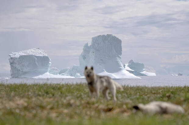 WSJ: Рубио сообщил членам Конгресса о намерении США купить Гренландию