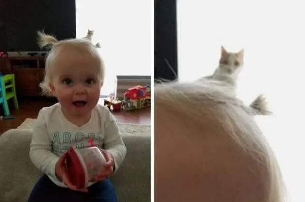 1592573075_fotobomby-22.jpg