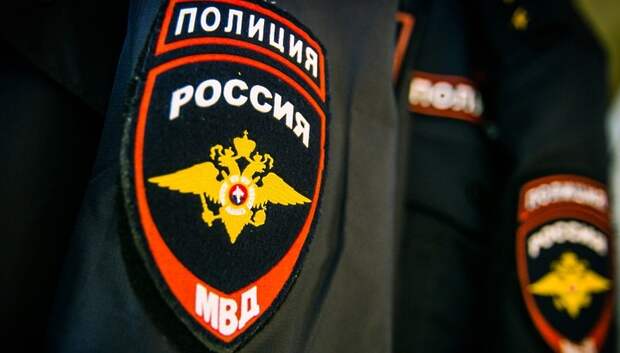 Полиция начала  проверку по факту драки между девочками в Подольске