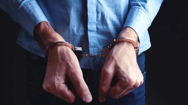 Главу капстроительства Брянской области арестовали по делу о "зубах дракона"