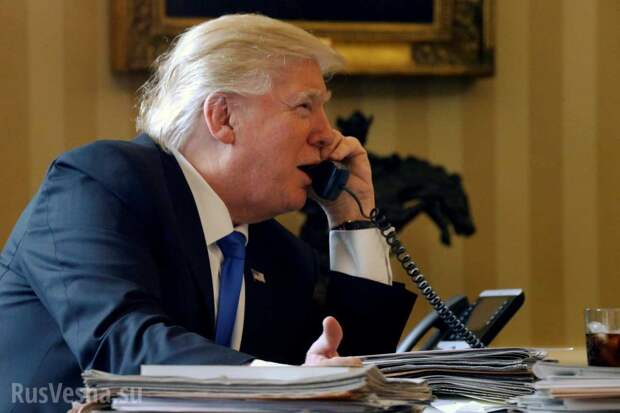 Трамп позвонил Зеленскому, поздравил с победой и кое-что пообещал | Русская весна