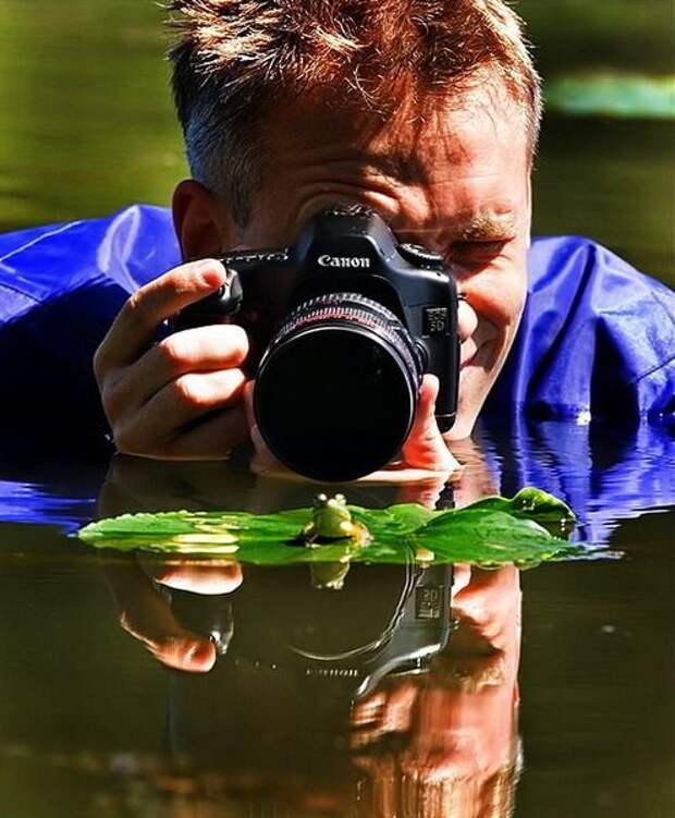 Приколы
