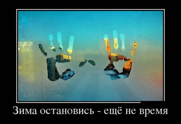Демотиваторы (30 фото)