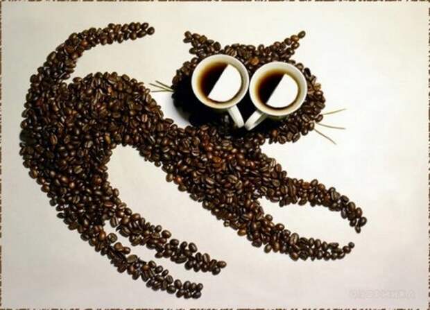 картина из кофейных зерен, кошечка