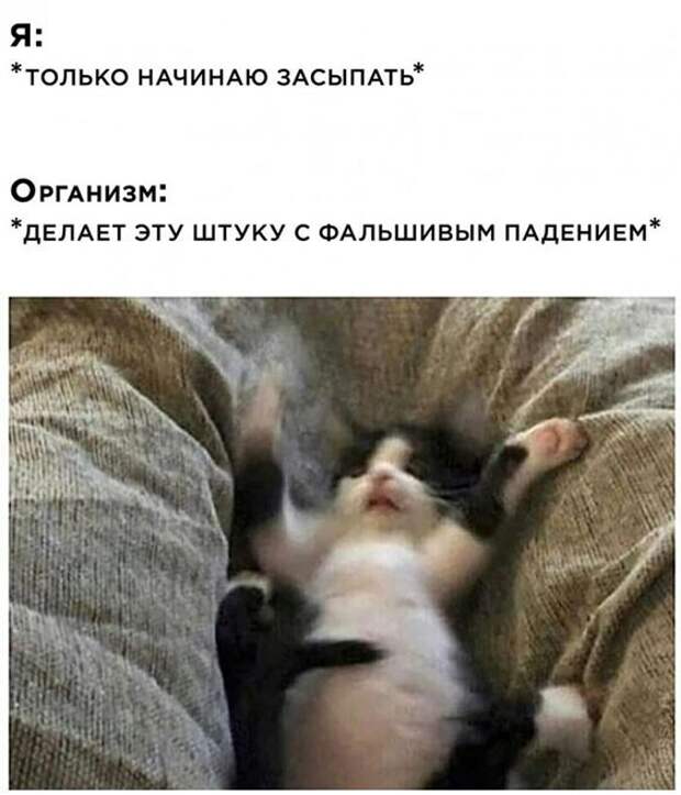 Прикольные и смешные картинки