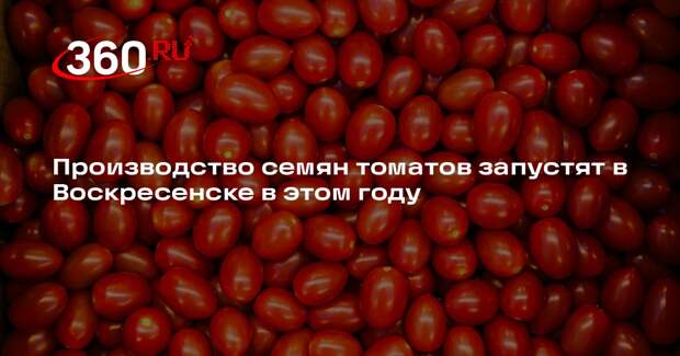 Производство семян томатов запустят в Воскресенске в этом году