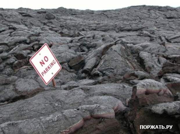 Фото приколы в картинках.
