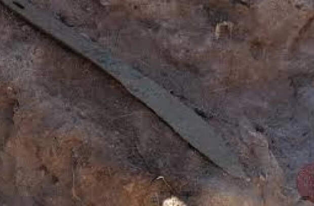 2700 лет спустя: студенты нашли на раскопках клинки кочевников сакской эпохи