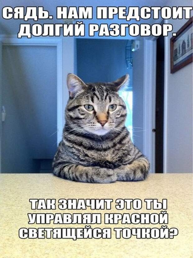 Картинки по запросу Смешные картинки и фотографии с надписью