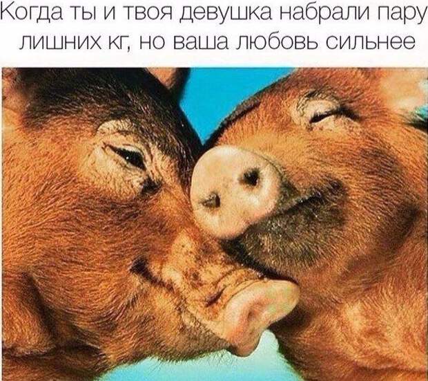 всякостей тут