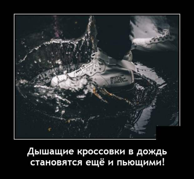 Демотиваторы 12 августа 2021 года