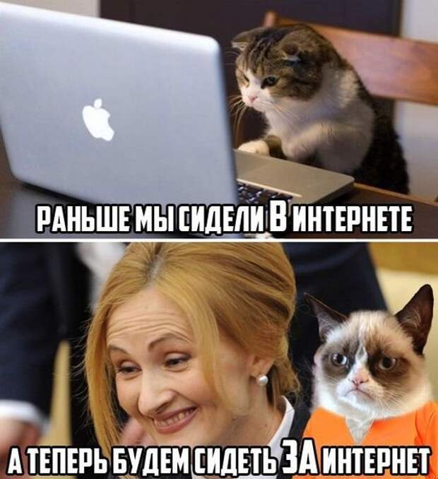 Прикольные картинки