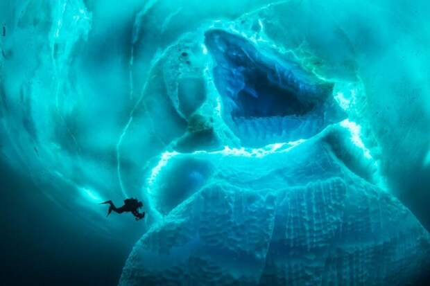 20 фото о настоящих размерах айсбергов айсберг, интересное, лед, под водой, природа