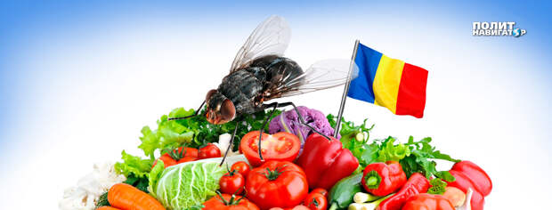 С сегодняшнего дня в Россию вновь разрешены поставки овощей 20 предприятий Молдовы. Это решение,...