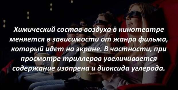 Интересные факты