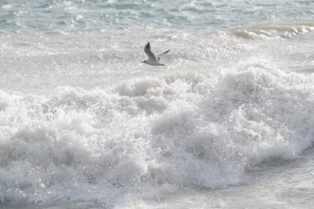 В Сочи и в Сириусе ожидаются двухметровые волны на море