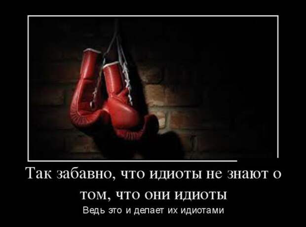 Демотиваторы