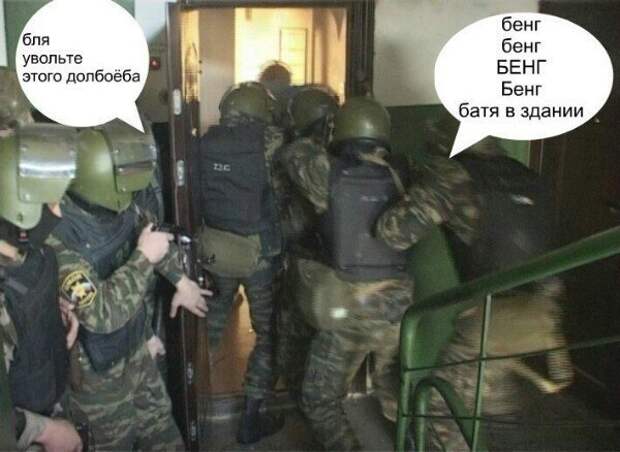 ZXMrurKCVFE