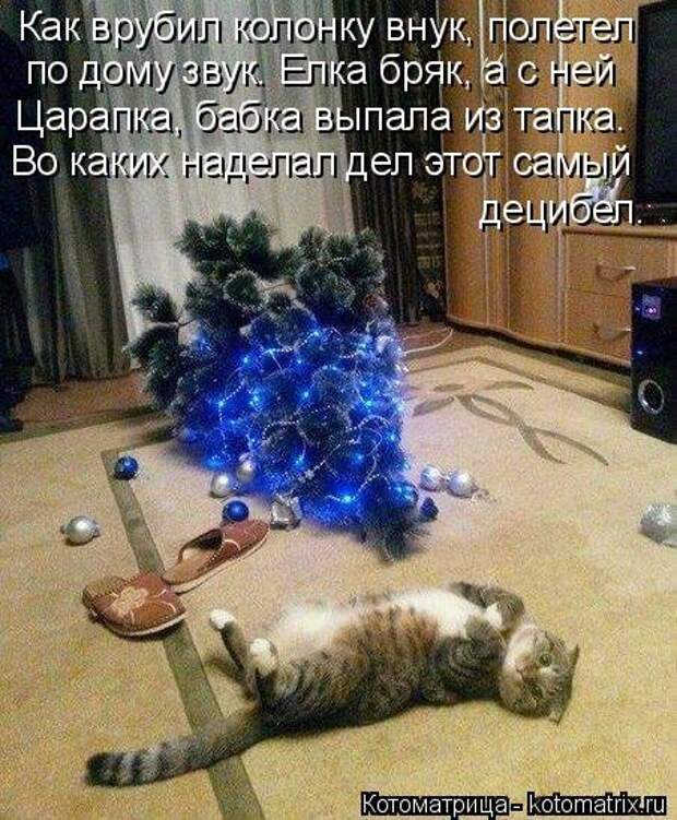 Новая отличная котоматрица (38 фото)