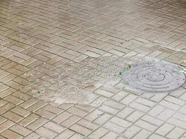 В Петербурге 7 апреля пройдут дожди со снегом и потеплеет до +8 градусов