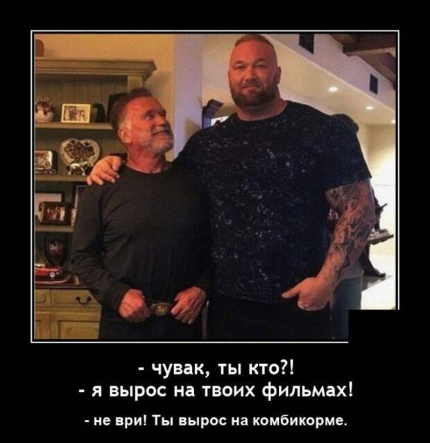 Демотиватор про Терминатора