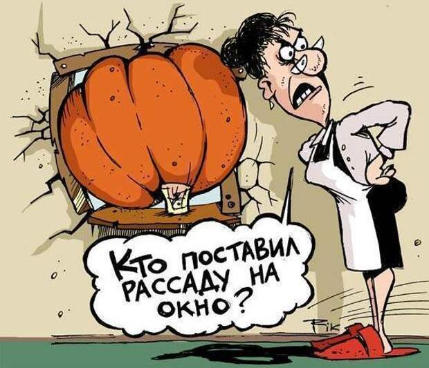 Номинация &amp;amp;amp;amp;amp;amp;amp;amp;amp;amp;amp;amp;amp;amp;quot;Рассада&amp;amp;amp;amp;amp;amp;amp;amp;amp;amp;amp;amp;amp;amp;quot;, фото с сайта svadba-kursk.ru