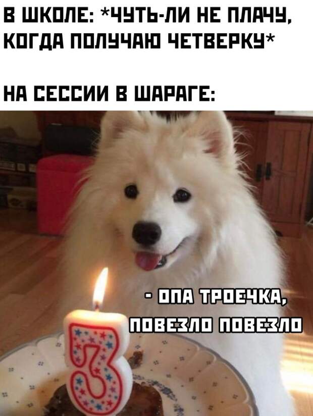 Смешные картинки 30 декабря 2021 года