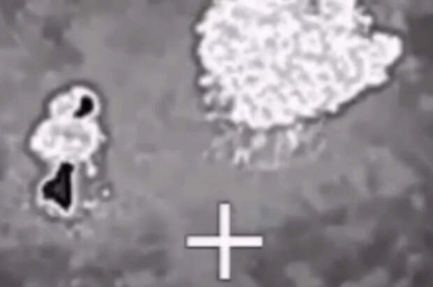 Охота на невидимку: ВС РФ уничтожили неуловимый объект ВСУ из Британии