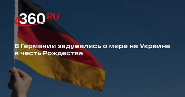 Депутаты Гизи и Барч призвали власти ФРГ обеспечить мир на Украине к Рождеству