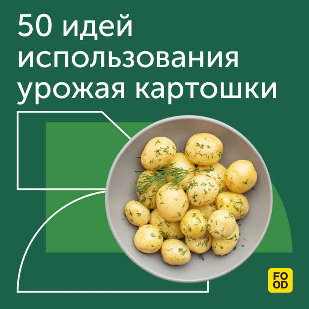 50 идей использования урожая картошки