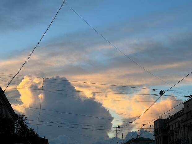 На смену похолоданию в Петербург 10 апреля пришло потепление до +9 градусов