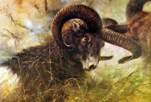 �������� ��� ���������.