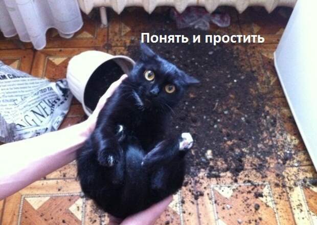 QegTQ97n71M