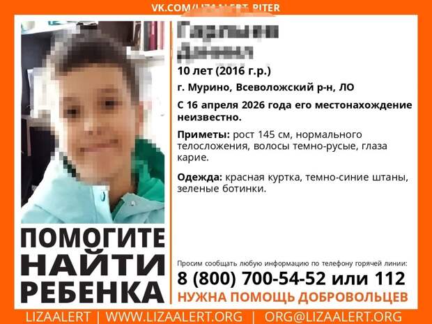 В Мурино бесследно пропал 10-летний мальчик