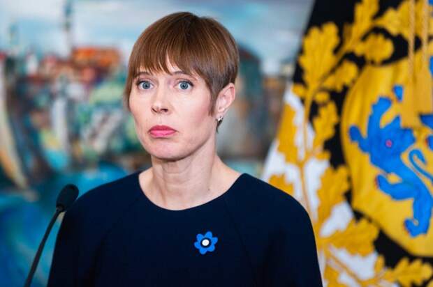 Президент Эстонии Кальюлайд, январь 2020.png