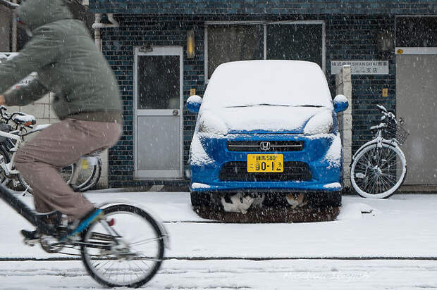 Japan Street Photography