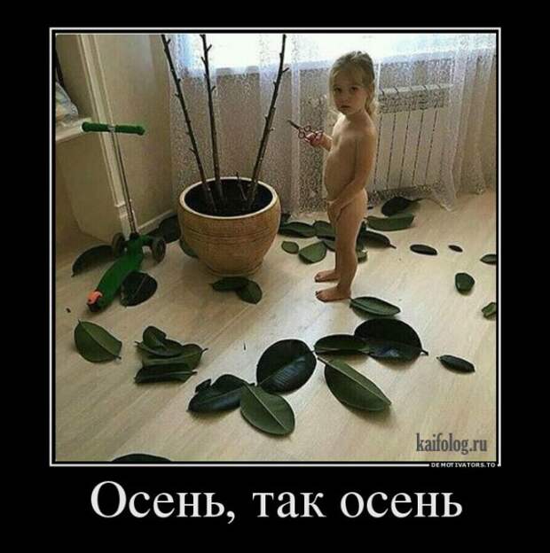 Русская демотивация (45 демотиваторов)