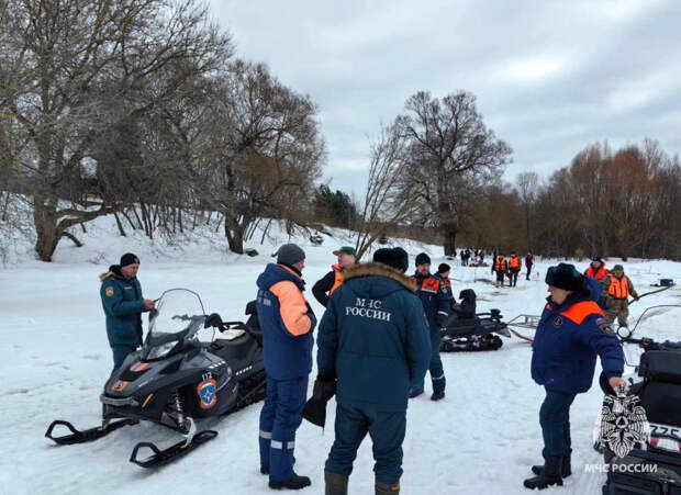 Ход поиска пропавших в Подмосковье три дня назад детей оценили
