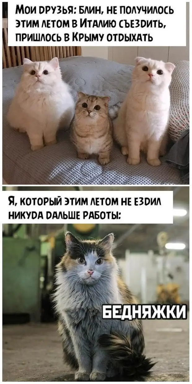 Продам дрова. Недавно наломала Продам дрова. Недавно наломала приходит, Новый, термос, холодным, после, говорит, чтобы, купила, рецепт, горячее, остается, холодное, Девушка, горячим, долларов, девушка, только, уставились, просто, черeз