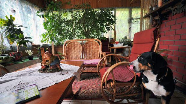 В Госдуме заметили массовый переезд российской молодёжи на дачи