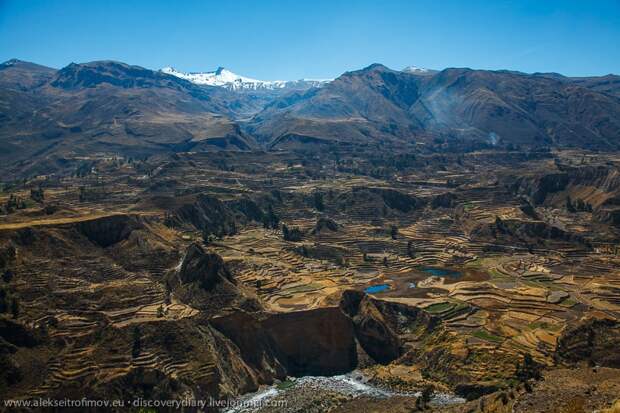 Спускаемся в глубочайший каньон на Земле colca26 Спускаемся в глубочайший каньон на Земле