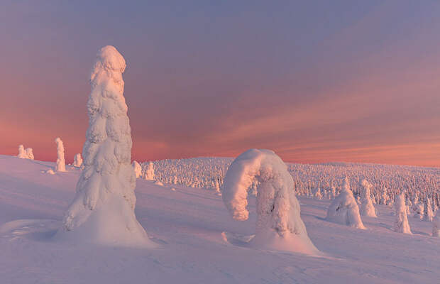 northern-lights-photography-finland-74-584e68e5f20ed__880